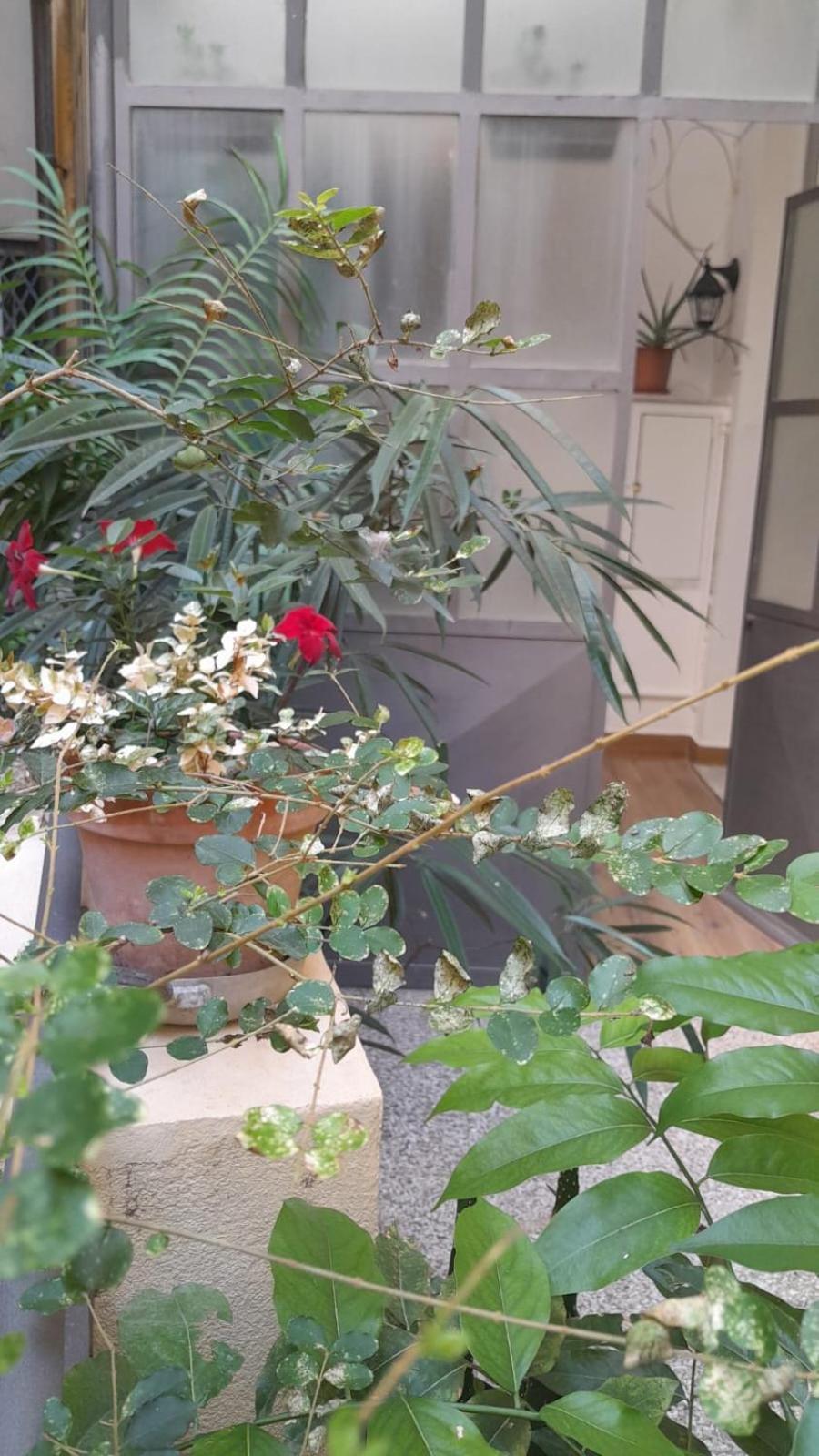 L'Angolo Verde In San Luca Genova Eksteriør bilde